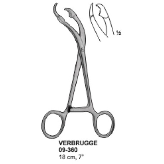 Verbrugge Bone Holding Forceps 18 cm