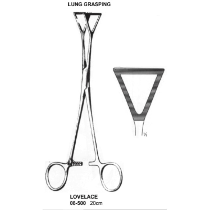 Lovelace Forceps 20cm