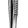 Dissecting Forceps
