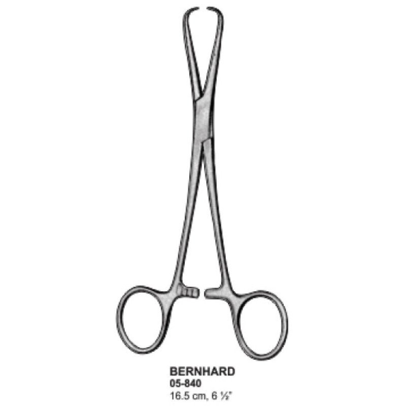 Bernahard Towel Clamps 16.5 cm By SIMAECO MEDICAL Bernahard Towel Clamps 16.5 cm By SIMAECO MEDICAL