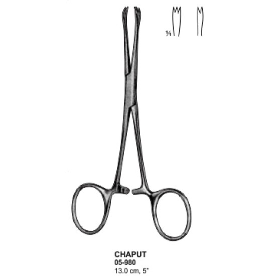 Chaput Forceps 13cm