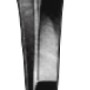 Michel Forceps 12cm
