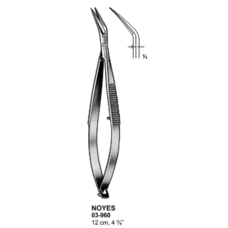 NOYES Scissors