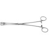 Sponge Forceps 25cm
