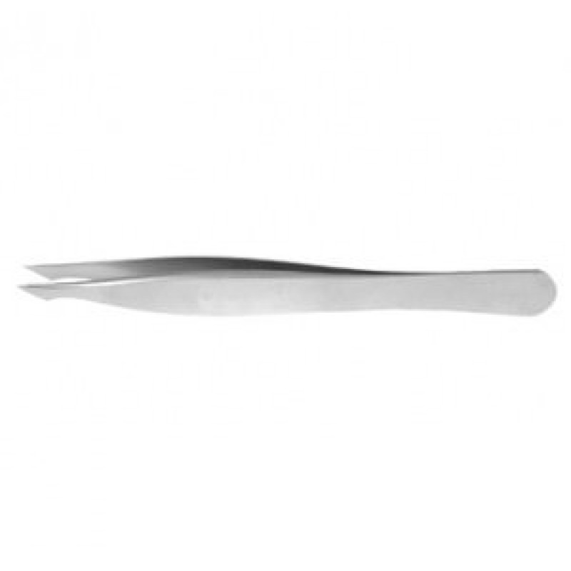 Bonaccolto Conjunctiva Forceps