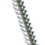 Cortical Screw