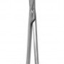 Mayo Scissors