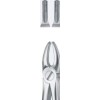 Tooth Forceps