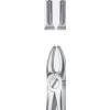 Tooth Forceps