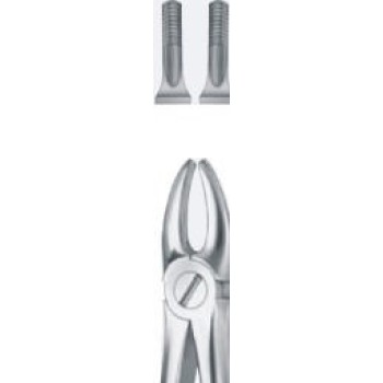 Tooth Forceps