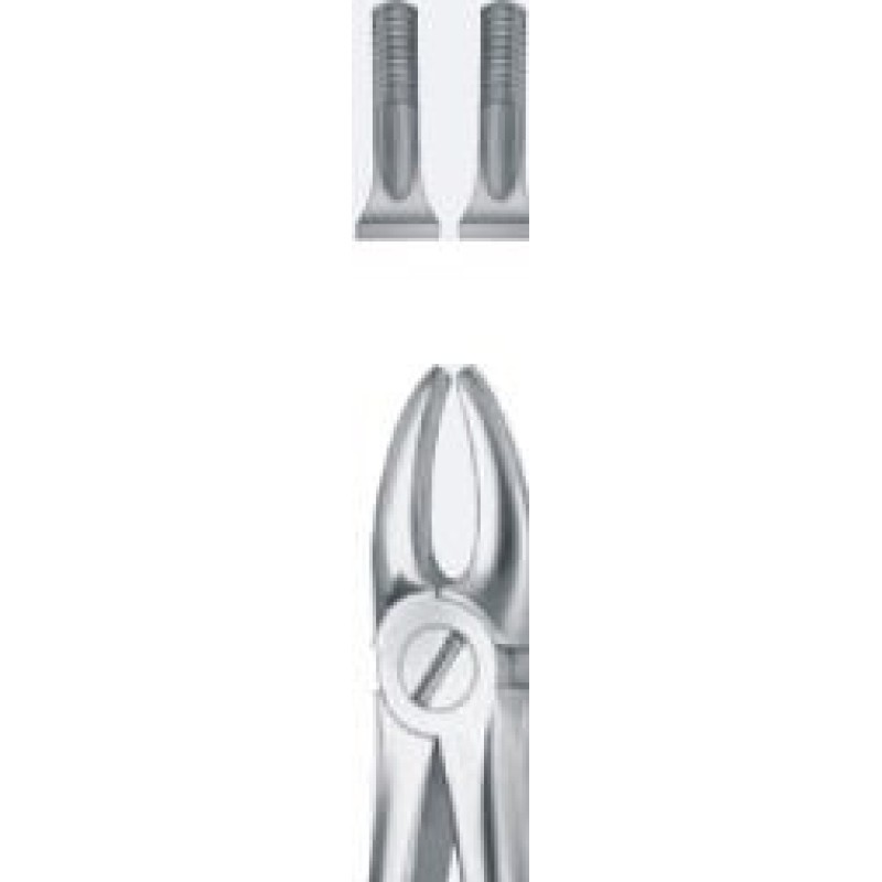 Tooth Forceps