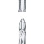 Tooth Forceps
