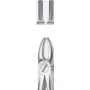 Tooth Forceps