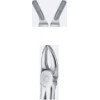 Tooth Forceps