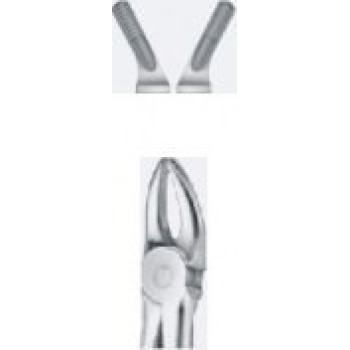 Tooth Forceps