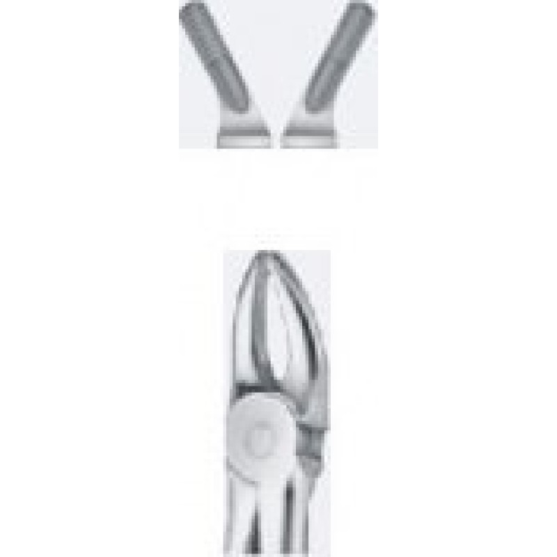 Tooth Forceps
