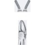 Tooth Forceps