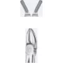 Tooth Forceps