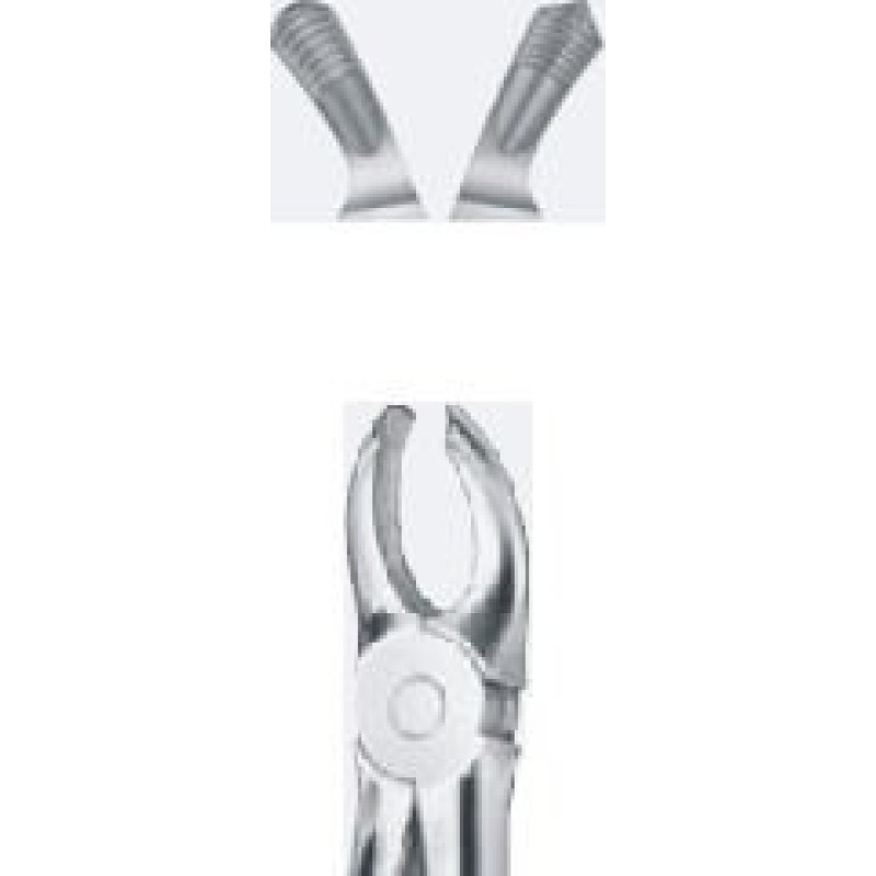 Tooth Forceps