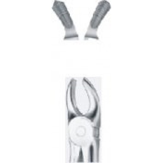 Tooth Forceps