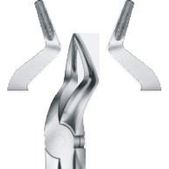 Tooth Forceps