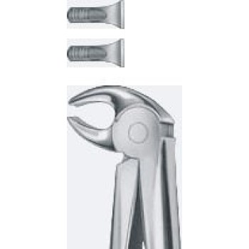 Tooth Forceps
