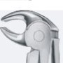 Tooth Forceps
