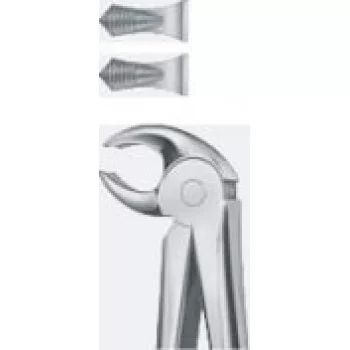 Tooth Forceps