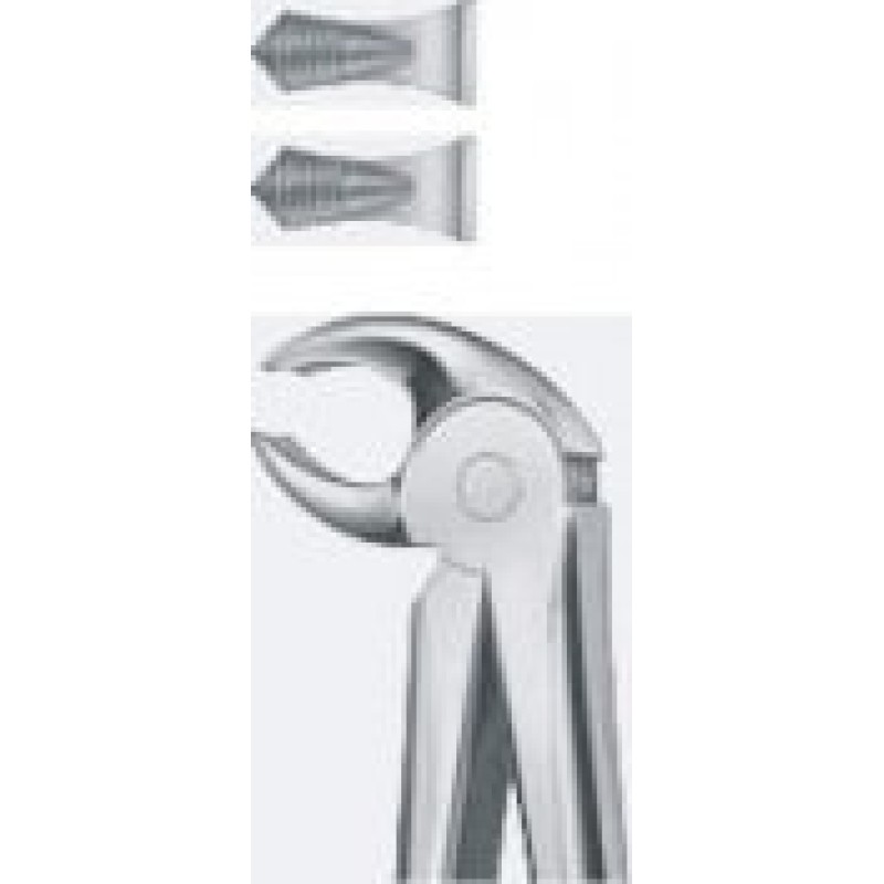Tooth Forceps
