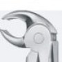 Tooth Forceps