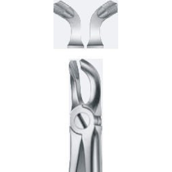 Tooth Forceps