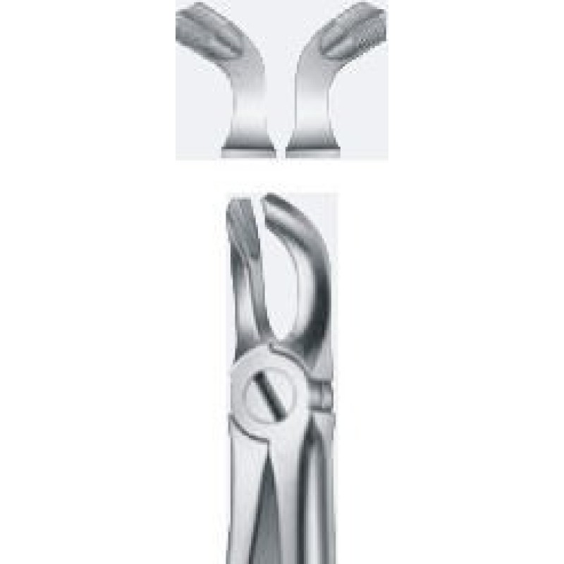 Tooth Forceps