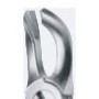 Tooth Forceps