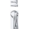 Tooth Forceps