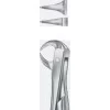 Tooth Forceps
