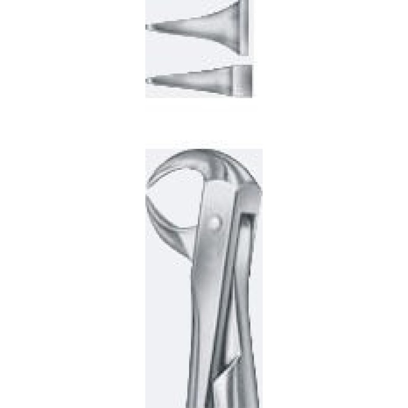 Tooth Forceps