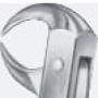 Tooth Forceps