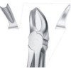 Tooth Forceps