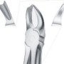 Tooth Forceps