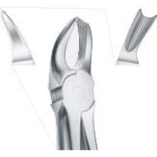 Tooth Forceps