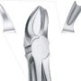 Tooth Forceps
