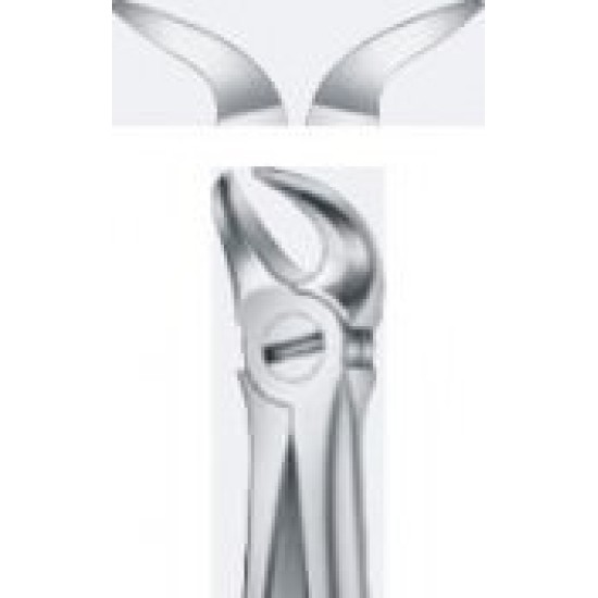 Tooth Forceps