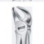 Tooth Forceps