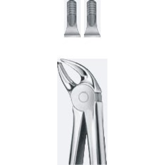 Tooth Forceps