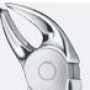Tooth Forceps