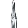 Tooth Forceps