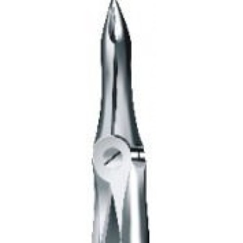 Tooth Forceps