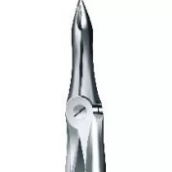 Tooth Forceps
