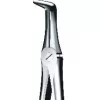 Tooth Forceps
