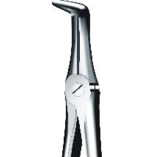 Tooth Forceps